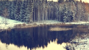 painting-lake-snow-forest-and-top-459532
